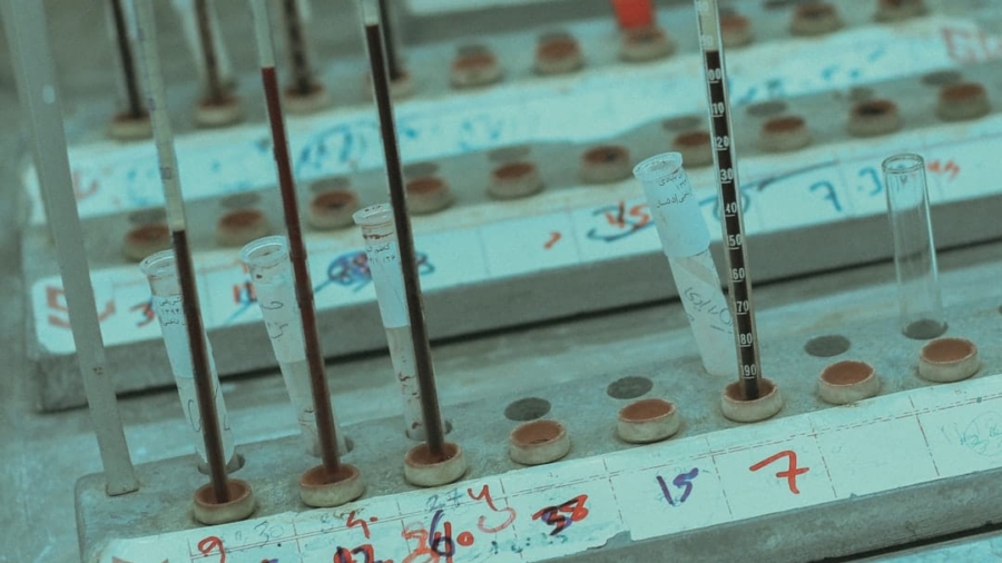 Photo Bioinformatics