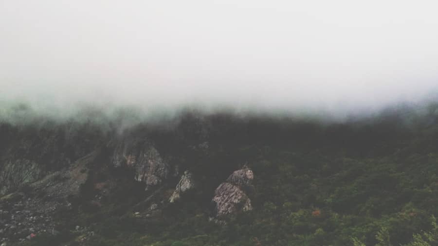 Photo Metaverse Startups