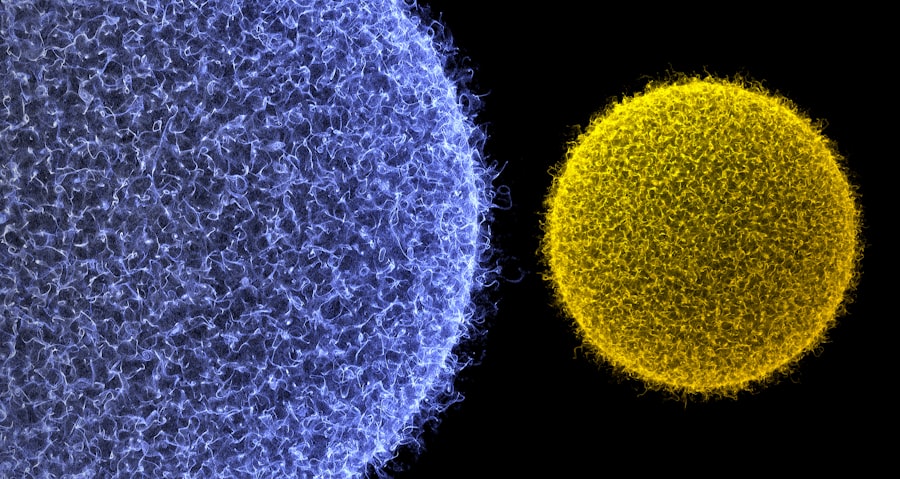 Photo Stem Cell Research