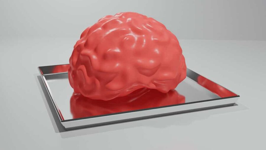 Photo brain computer interface