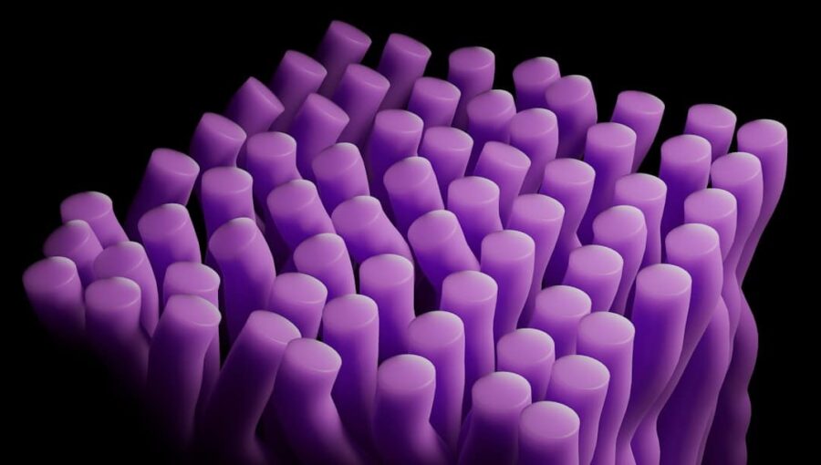 Photo photonic chips