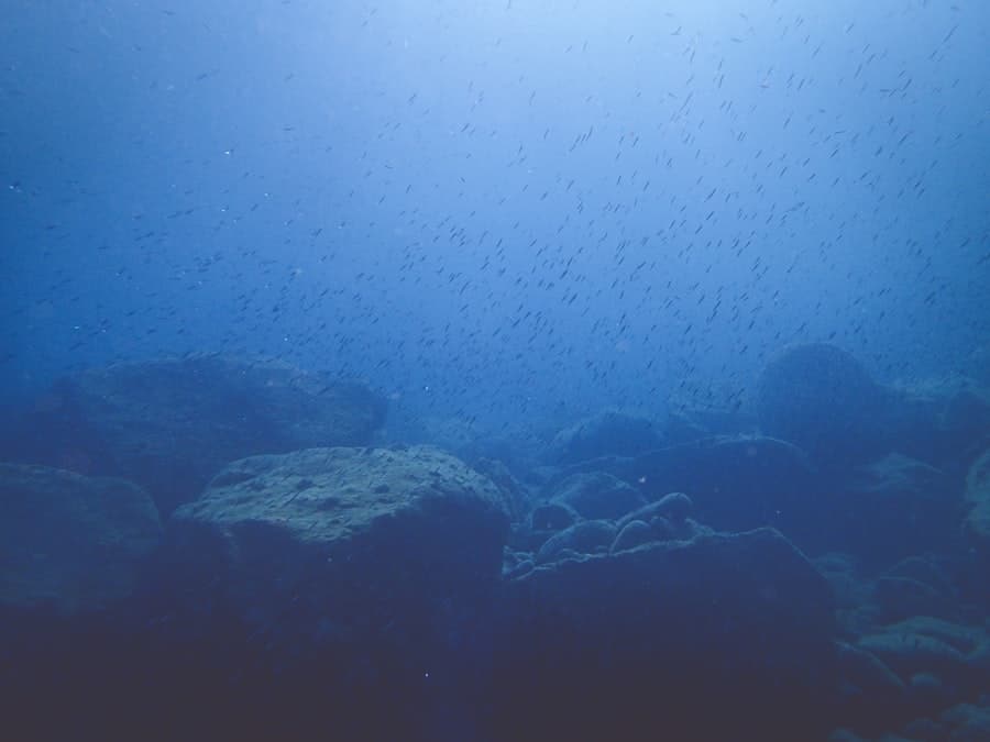 Photo oceanconservation