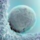 Photo Cell and Gene Therapies