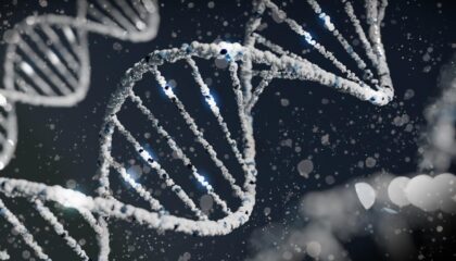 Photo Biotech