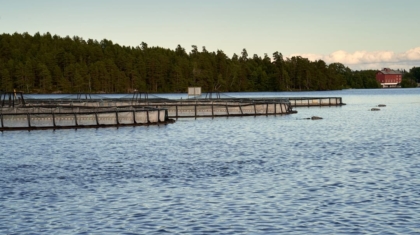 Photo Sustainable Practices