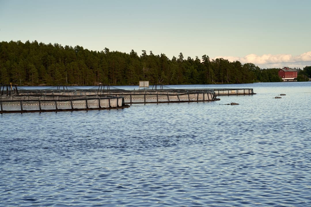 Photo Sustainable Practices