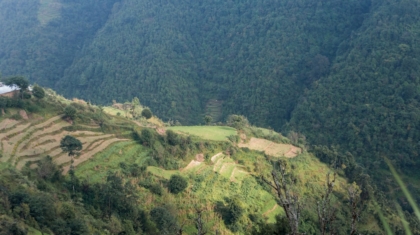 Photo Sustainable Practices