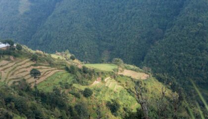 Photo Sustainable Practices