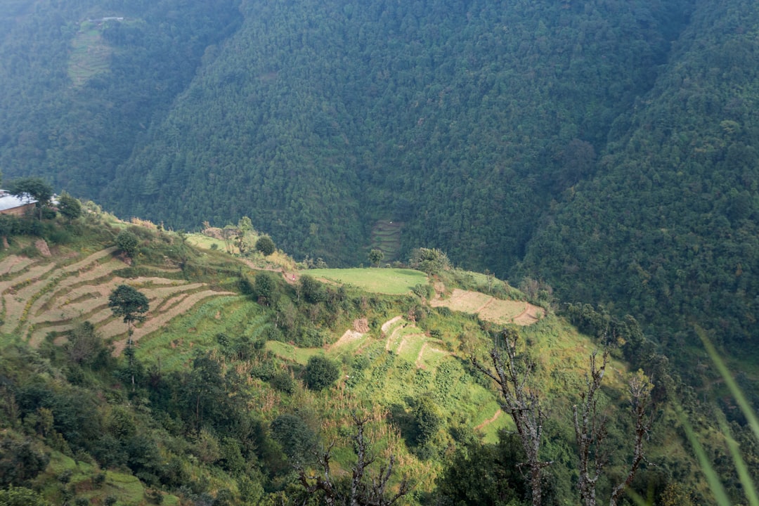 Photo Sustainable Practices