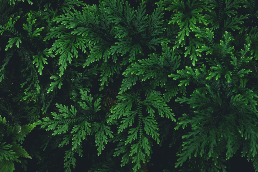 Photo greeneducation