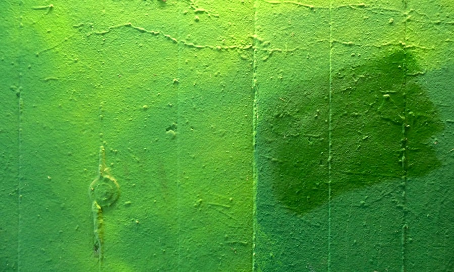 Photo greeneducation