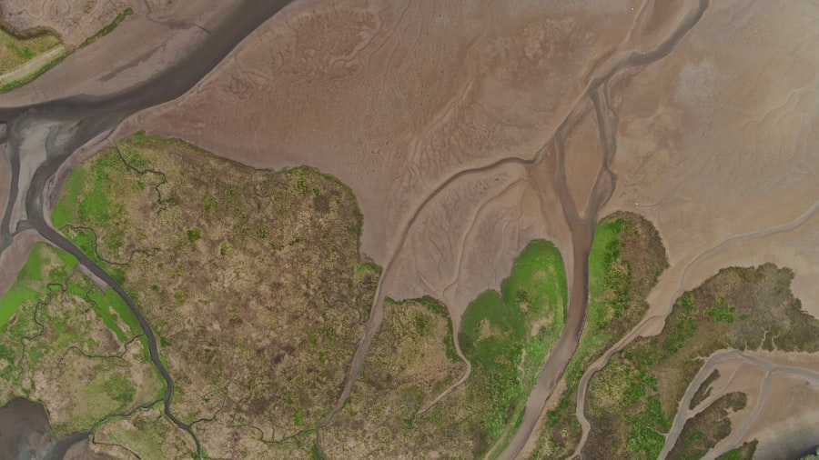 Why Quantum Computing Is Crucial for Scientific Breakthroughs 3 Breakthroughs