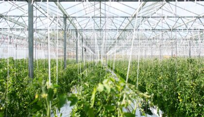 Photo Agriculture