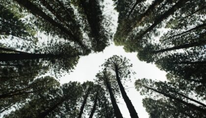 Photo Sustainable