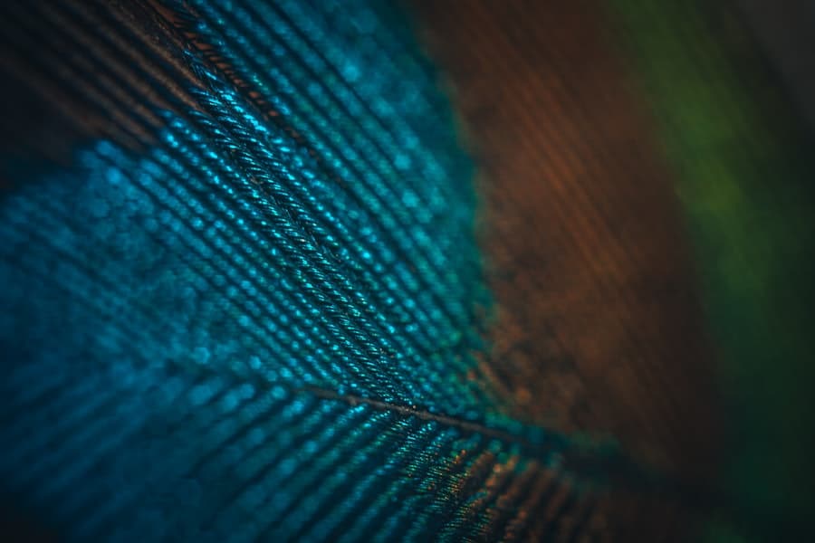 Photo Biometric Authentication