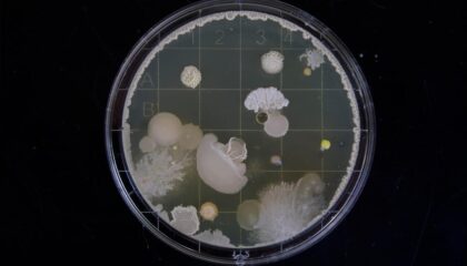Photo Science