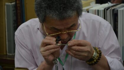 Photo Assessment
