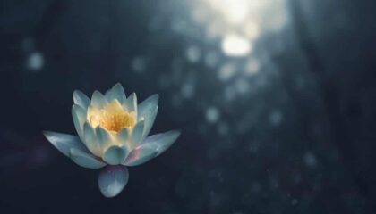 Photo Mindfulness