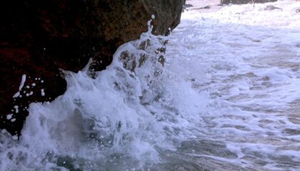 Photo Tidal