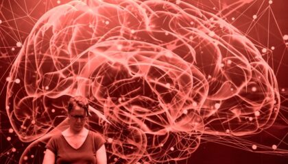 Photo Cognition