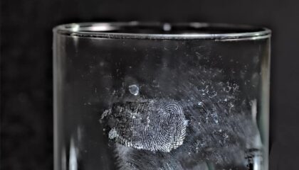 Photo Forensics