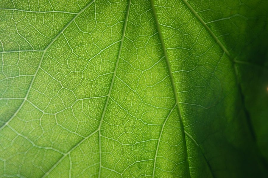 Green Financial Products