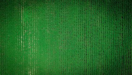 Photo Green Coding Principles