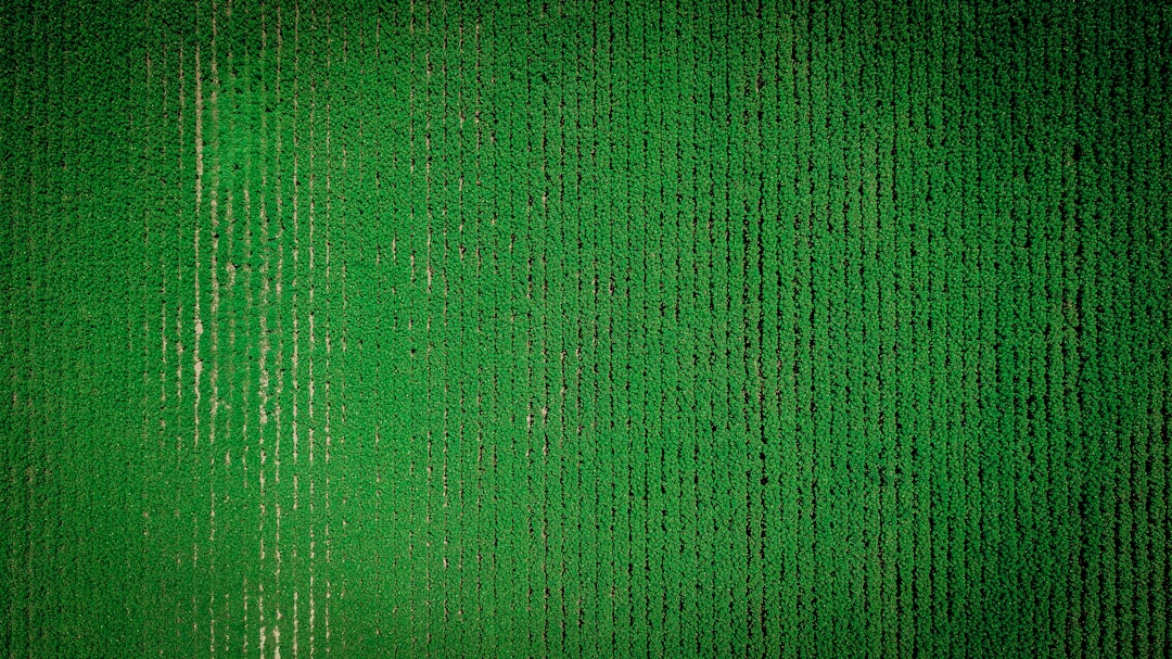 Photo Green Coding Principles