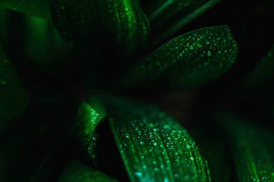 Photo Green Coding Principles