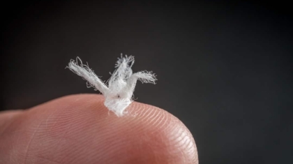 Photo Bioprinting 3D Tissues