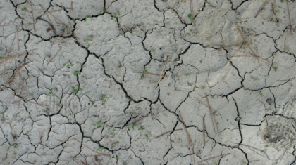 Photo AI, Forecasting, Droughts