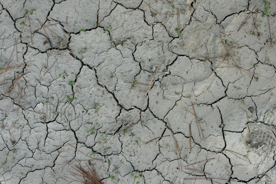 Photo AI, Forecasting, Droughts