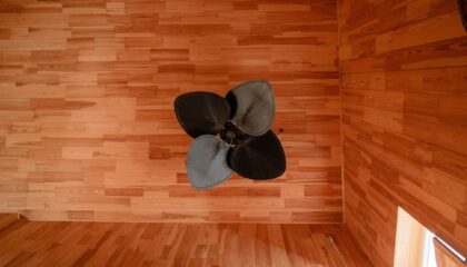 Photo Acoustic Levitation