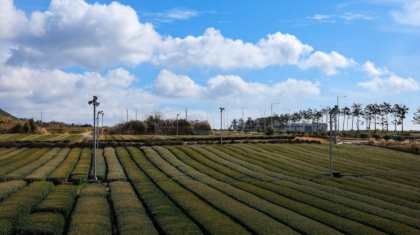 Photo Agrivoltaics