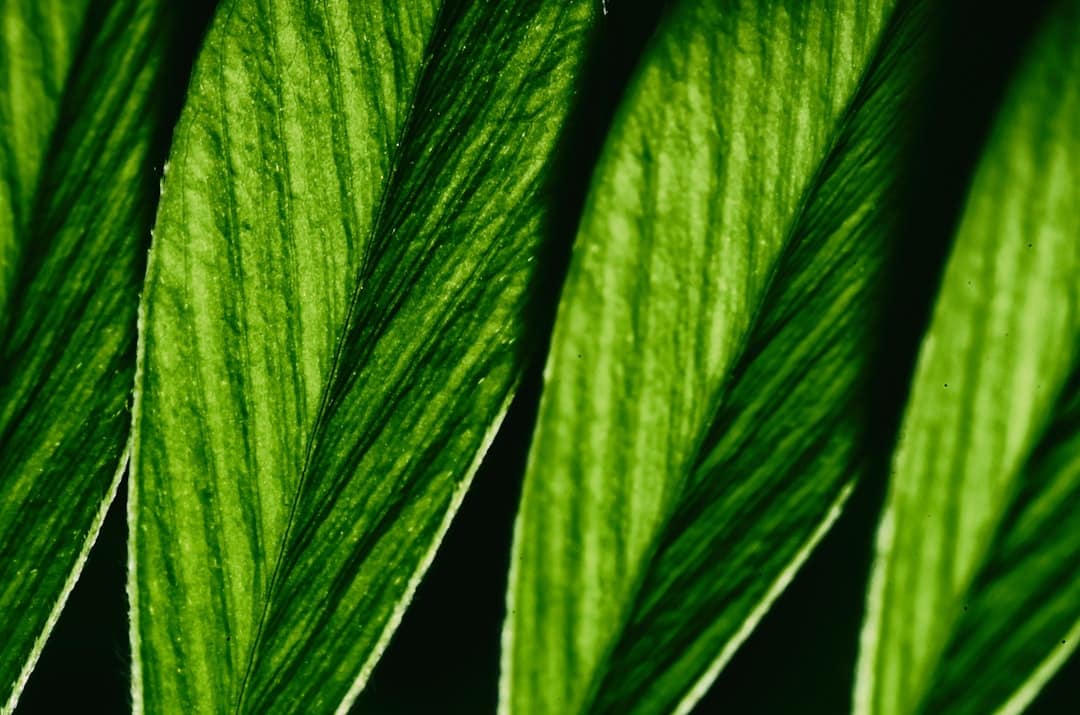 Photo Green Financial Products