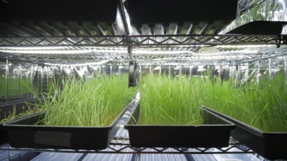 Photo Regenerative Agriculture Tech