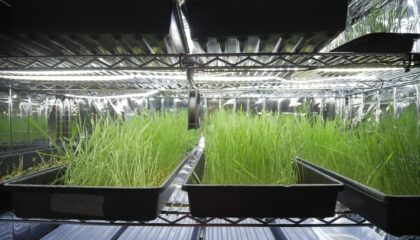 Photo Regenerative Agriculture Tech