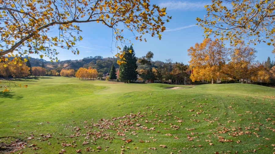 Photo Password Manager