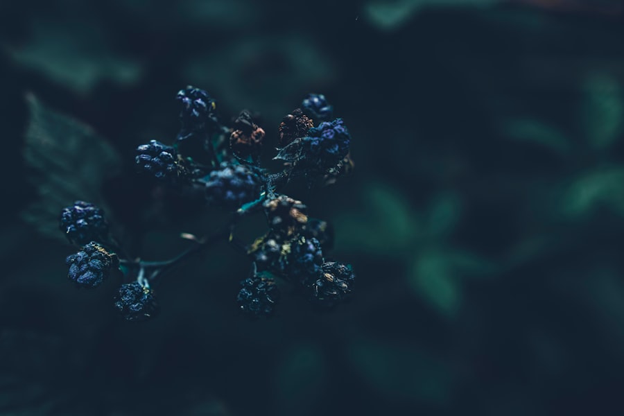 Photo Decentralized Science