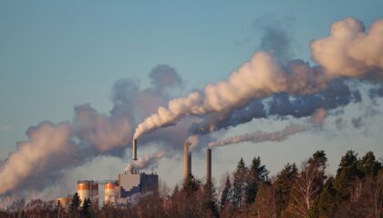 Photo Carbon Removal Credits