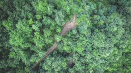 Photo Drones for Reforestation
