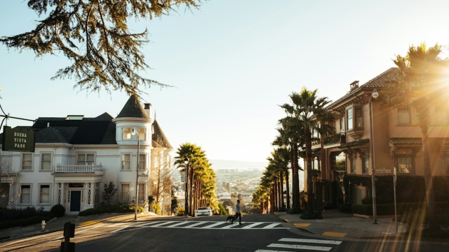 Photo Rollable Displays