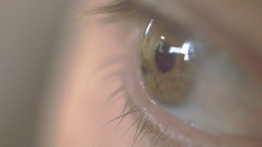 Photo Eye-Tracking Data