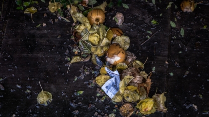 Photo Food Waste