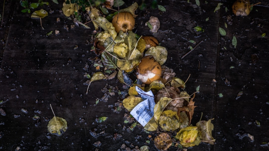 Photo Food Waste