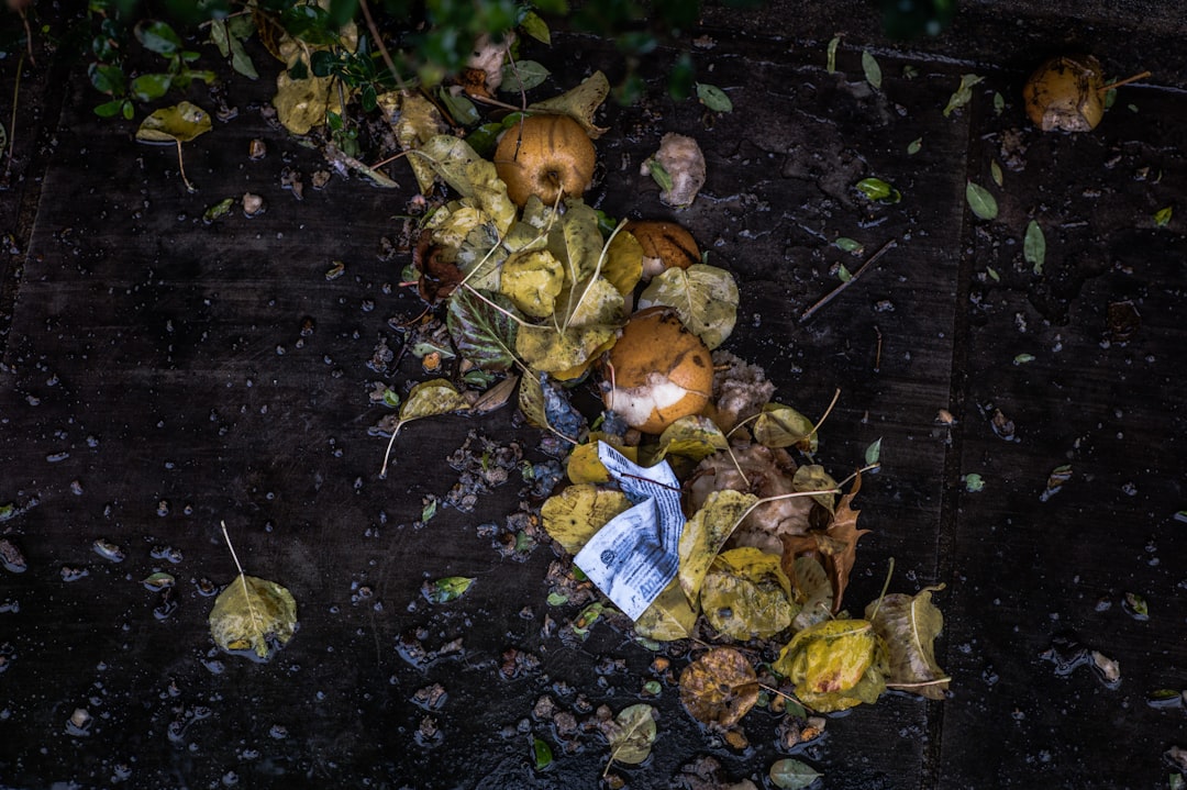 Photo Food Waste