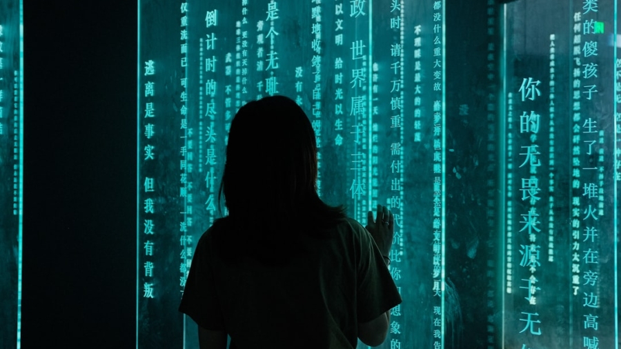 Photo Biometric Data Theft