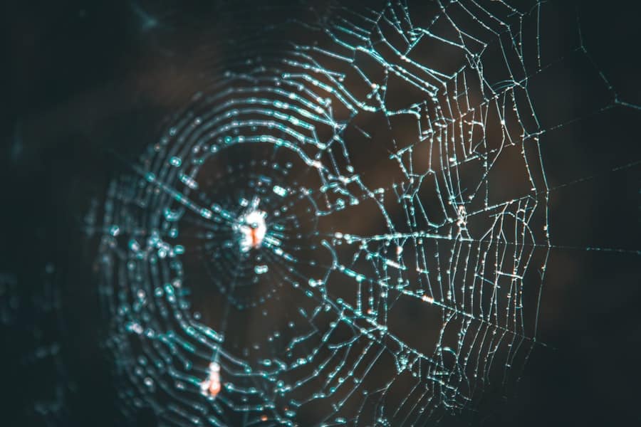 Photo Biometric Data Theft