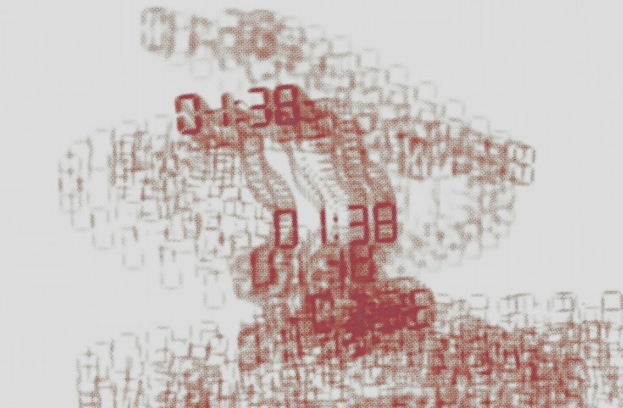 Photo Biometric Data