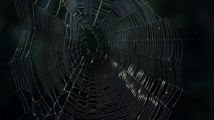 Photo Dark Web Monitoring